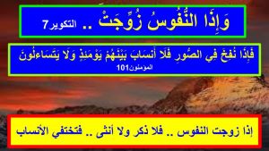 المكتوب .. ما بين الأرزاق والهبات (2) …. بقلم : جمال عمر – اقلام مصرية